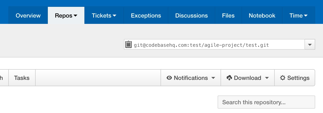 Codebase repository settings